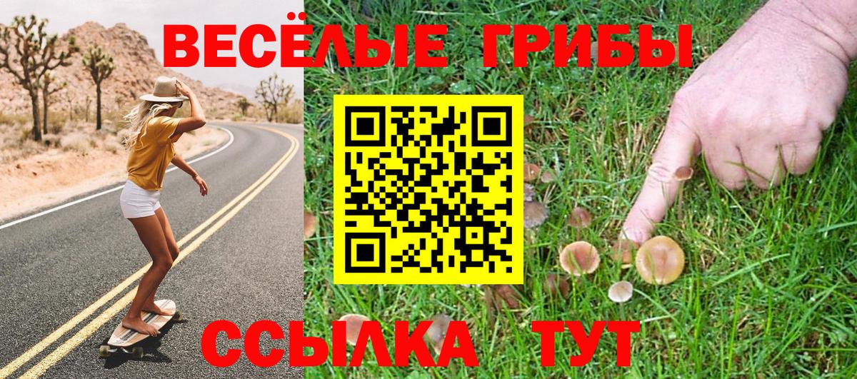 Коломна  цена наркотик  Вход с VPN  Псилоцибиновые грибы мухоморы 